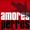 Amores Perros - Was ist Liebe?