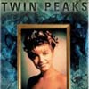 Das Geheimnis von Twin Peaks