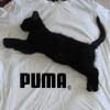 Puma advert music