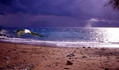 When he  began  sliding  in  to feet-up landings on the beach...